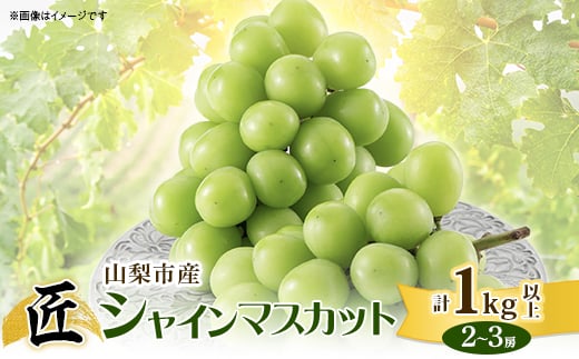 ＜2025年先行受付＞ 山梨市産シャインマスカット(匠)2～3房 (1kg以上)【1413176】 949489 - 山梨県山梨市