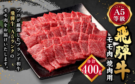 飛騨牛 A5 等級 焼肉 用 400g（ モモ肉 ） | 肉のかた山 牛肉 M12S85 727912 - 岐阜県美濃加茂市