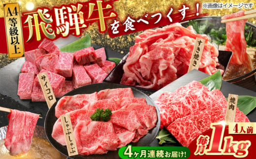 【4回定期便】 飛騨牛を食べつくす！ 飛騨牛 プレミアム 定期便 4人前 ( しゃぶしゃぶ × すき焼き × サイコロステーキ × 焼肉 ) 各1kg A4等級以上  多治見市 / 渡辺精肉店 和牛 ブランド牛 牛肉 [TAZ048]