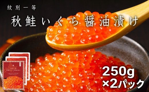 75-28 【定期便３か月】紋別一等～いくら醤油漬け500g（250g×2パック）×３回 - 北海道紋別市｜ふるさとチョイス - ふるさと納税サイト