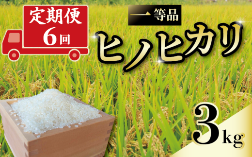 定期便 6回 一等品 京都府産 ヒノヒカリ 3kg 白米 お米 米 コメ こめ はくまい 宇治 ごはん ひのひかり 令和6年産 京都 京都府 減農薬 ふるさと納税米