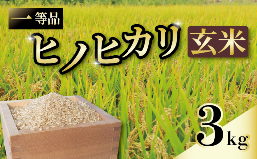 一等品 京都府産 ヒノヒカリ 3kg 玄米 宇治 お米 米 コメ こめ 宇治 ごはん ひのひかり 令和6年産 京都 京都府 減農薬 ふるさと納税米 八千円 8000円