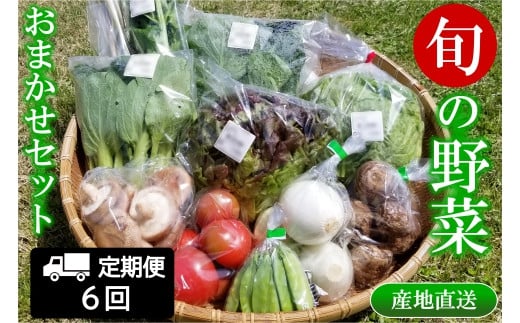 『定期便』全6回 野菜 おまかせセット 毎月届く定期便 旬 道の駅直送 季節野菜 豊平どんぐり村 さんさん市_SA073_001s6