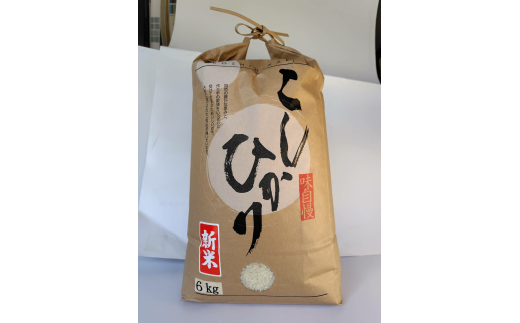 上矢作産 農家自慢のこしひかり（精米）6kg / 米 こめ コメ 白米 精米 こしひかり コシヒカリ / 恵那市 / 梅本勝司 [AUAL001]