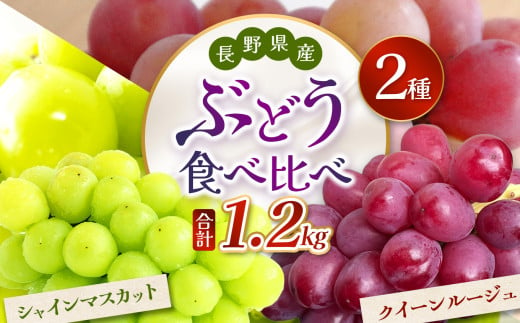 【先行受付】信州産 クイーンルージュ、シャインマスカットのセット 約1kg (2房)｜ふるさと納税 松本市  ぶどう 葡萄 シャインマスカット クイーンルージュ 果物 フルーツ 種無し 新鮮 セット 食べ比べ 信州産 先行予約 1536001 - 長野県松本市