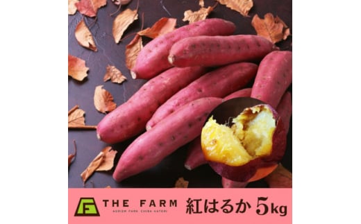 THE FARMのさつまいも紅はるか5kg(梱包込み)【1564668】