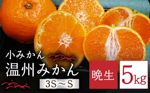 長崎県産 晩生温州みかん 3S～Sサイズ 5kg 小みかん 長崎県/大将農園 [42AOAA021]みかん 小粒 柑橘 オレンジ 果物 フルーツ ミカン 旬 くだもの 温州みかん 長崎 ながさき 長崎県 1554588 - 長崎県長崎県庁