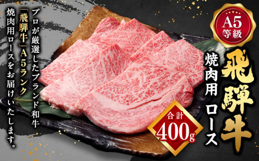 飛騨牛 A5 等級 焼肉 用 （ ロース 400g） | 肉のかた山 牛肉 M22S38 727514 - 岐阜県美濃加茂市