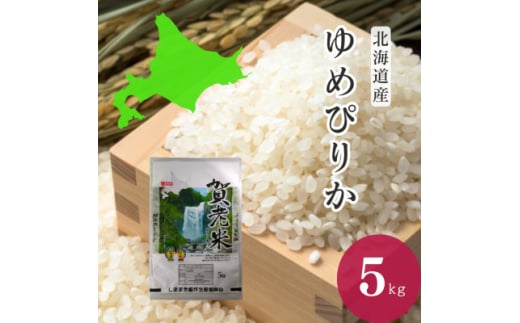 令和6年産ゆめぴりか 精米5kg【1569711】 1564936 - 北海道島牧村