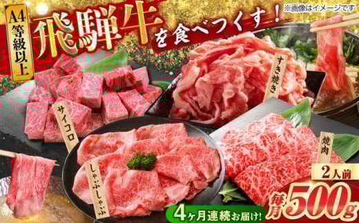 【4回定期便】 飛騨牛を食べつくす！ 飛騨牛 プレミアム 定期便 2人前 ( しゃぶしゃぶ × すき焼き × サイコロステーキ × 焼肉 ) 各500g A4等級以上 和牛 ブランド牛 国産 牛肉 多治見市 / 渡辺精肉店 [TAZ046] 1556718 - 岐阜県多治見市