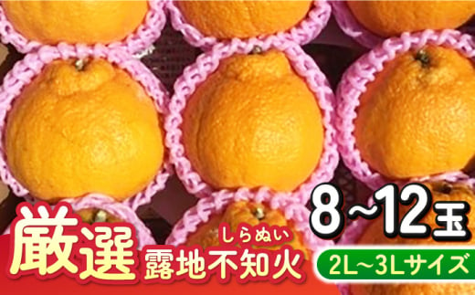 厳選 露地不知火 2L～3Lサイズ 8～12玉入り（約3kg）（通称：でこぽん） 長崎県/大将農園 [42AOAA030]