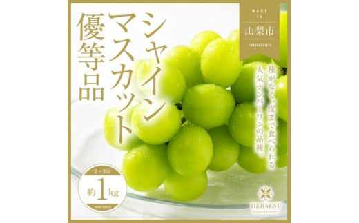 2025年先行受付＜訳あり＞山梨県山梨市産　旬の採れたてシャインマスカット　優等品約1kg2～3房【1459692】 1129727 - 山梨県山梨市