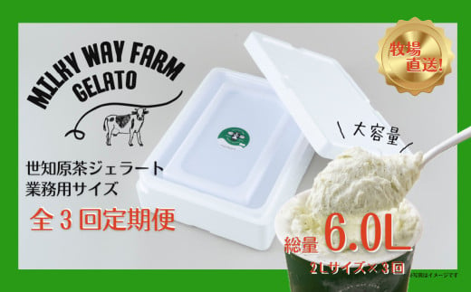 F187　《定期便》山中牧場「MILKY WAY FARM」ジェラート 業務用(２L)サイズ〈世知原茶〉【３回お届け】