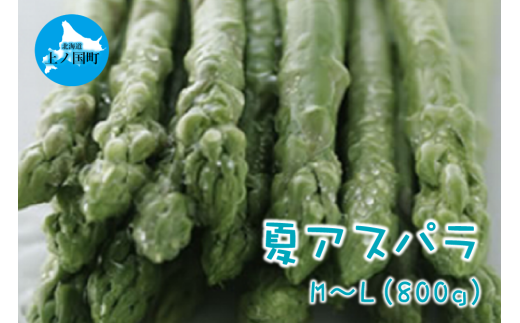 【2025年夏発送】北海道上ノ国町産 朝採り当日発送 刀祢農園の夏アスパラ　M～L（800g） 1523232 - 北海道上ノ国町