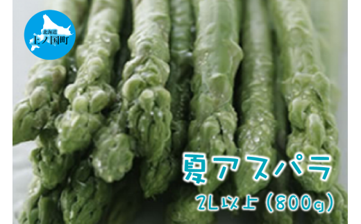【2025年夏発送】北海道上ノ国町産 朝採り当日発送 刀祢農園の夏アスパラ　2L以上（800g） 1494802 - 北海道上ノ国町