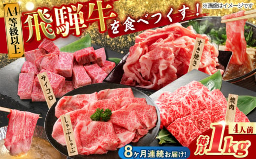 【8回定期便】 飛騨牛を食べつくす！ 飛騨牛 プレミアム 定期便 4人前 ( しゃぶしゃぶ × すき焼き × サイコロステーキ × 焼肉 ) 各1kg A4等級以上  多治見市 / 渡辺精肉店 和牛 ブランド牛 牛肉 [TAZ049]