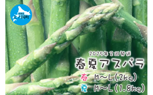 【2025年春夏発送】北海道上ノ国町産 朝採り当日発送 刀祢農園の春アスパラM～L（2㎏）と夏アスパラM～L（1.8㎏）の２回お届け 1524271 - 北海道上ノ国町