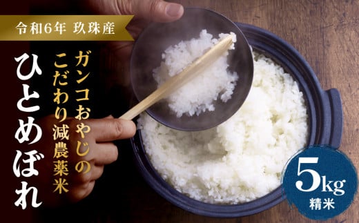 【令和6年産】ひとめぼれ５kg ｜ ガンコおやじこだわりのひとめぼれ 1554505 - 大分県玖珠町