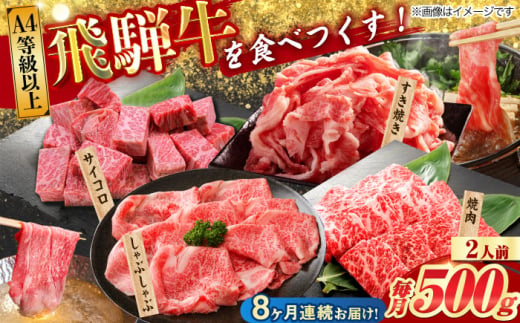 【8回定期便】 飛騨牛を食べつくす！ 飛騨牛 プレミアム 定期便 2人前 ( しゃぶしゃぶ × すき焼き × サイコロステーキ × 焼肉 ) 各500g A4等級以上  多治見市 / 渡辺精肉店 和牛 ブランド牛 牛肉 [TAZ047]