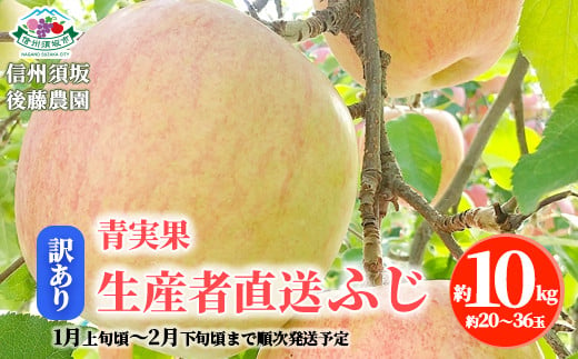 [No.5657-4146]【訳あり・青実果】生産者直送 ふじ 約10kg（約20～36玉）《信州須坂後藤農園》■2025年発送■※1月上旬頃～2月下旬頃まで順次発送予定