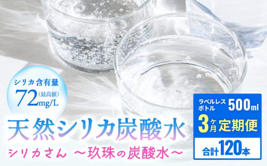 [３ヶ月 定期便]天然シリカ炭酸水 シリカさん～玖珠の炭酸水～　500ml × 40本 1554976 - 大分県玖珠町