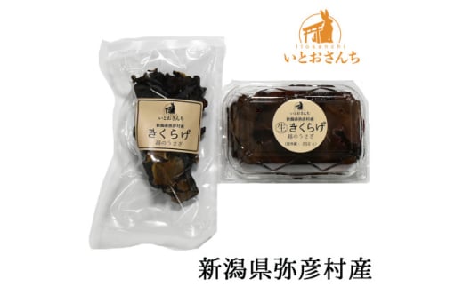 新潟県弥彦村産　越のうさぎ 　生きくらげ250g、乾燥きくらげ25g　詰め合わせセット【1354239】 536259 - 新潟県弥彦村