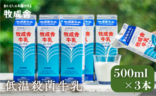 【年内発送】明治30年創業の牛乳屋　牧成舎の低温殺菌牛乳 500ml×3本セット 乳製品 牛乳パック 乳飲料 無添加 牧成舎 飛騨市 年内配送 年内お届け 12月