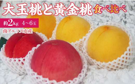 【25年発送先行予約】南アルプス市産　大玉の桃と黄金桃の食べ比べセット　約2kg（4～6玉） ALPDD015 1119827 - 山梨県南アルプス市