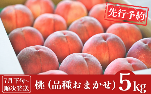 先行予約 桃 約5kg (13～18個入) [2025年発送分] 令和7年産 新潟フルーツ 新潟県産桃 [石田フルーツガーデン] 【017P021】 867118 - 新潟県三条市