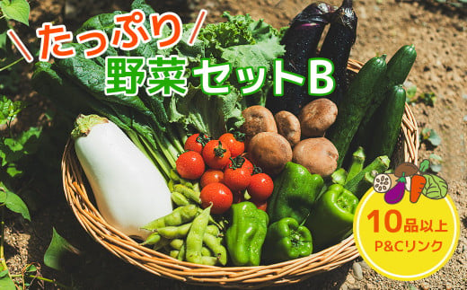 たっぷり 野菜セットB 10品 以上 季節 旬 野菜 詰め合せ 国産 季節 旬 おまかせ 産地直送 春野菜 夏野菜 秋野菜 きのこ 葉物 果物 果菜 根菜 冷蔵 野菜室 ダイエット 食 栄養食 加工品 カット野菜 岩手県産 北上産 季節限定 山菜 ブロッコリー たまねぎ さつまいも とうもろこし サラダ トマト しいたけ アスパラガス 送料無料 岩手県 北上市 C0502 355632 - 岩手県北上市