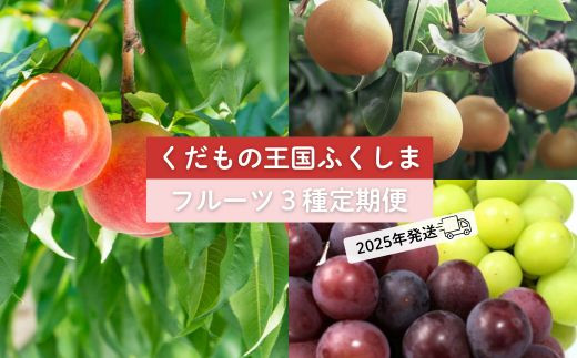 No.2032フルーツ３種 定期便 桃 梨 ぶどう【2025年 先行予約】 281153 - 福島県福島市