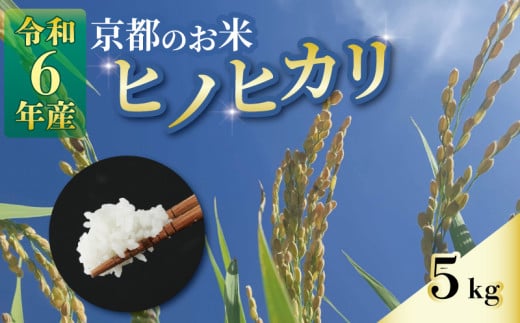 米 ヒノヒカリ 5kg 京都 減農薬 ひのひかり 白米 お米 ごはん 久御山町 京都府 京都府産 令和6年度 9,000円 1697388 - 京都府京都府庁