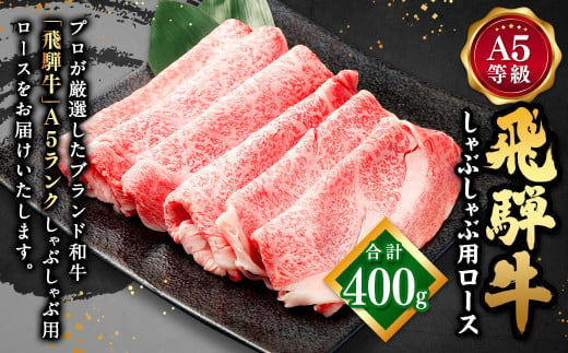 飛騨牛 A5 等級 しゃぶしゃぶ 用（ ロース 400g）| 肉のかた山  牛肉 M22S37 727513 - 岐阜県美濃加茂市