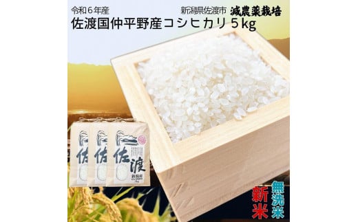 [数量限定][令和6年産]佐渡国仲平野産コシヒカリ 精米[無洗米]5kg 送料無料