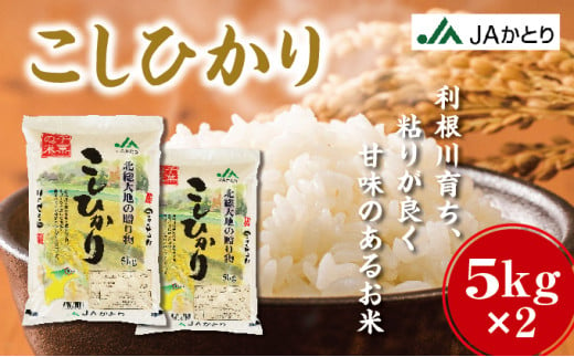 令和6年産 新米 コシヒカリ精米5kg×2入[千葉県神崎町産][001-a004]