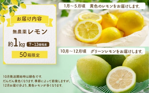 広島県尾道市のふるさと納税 【月間50箱限定】皮まで美味しい無農薬レモン 約1kg