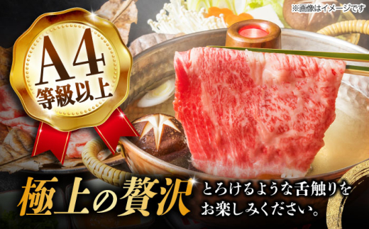 4回 飛騨牛 プレミアム 定期便 2人前 しゃぶしゃぶ すき焼き サイコロステーキ 焼肉 各500g