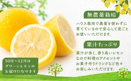 広島県尾道市のふるさと納税 【月間50箱限定】皮まで美味しい無農薬レモン 約1kg