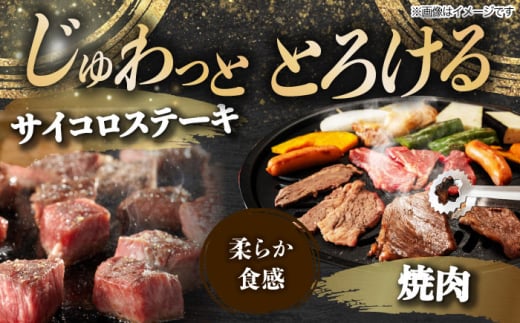 4回 飛騨牛 プレミアム 定期便 2人前 しゃぶしゃぶ すき焼き サイコロステーキ 焼肉 各500g