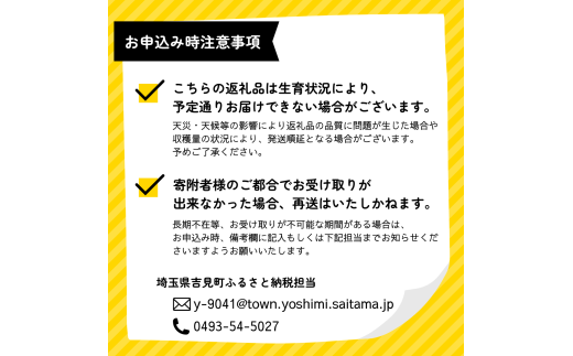 埼玉県吉見町のふるさと納税 特選「吉見いちご」【あまりん】