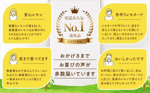 広島県尾道市のふるさと納税 【月間50箱限定】皮まで美味しい無農薬レモン 約1kg