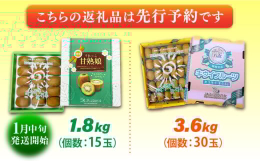 果物 キウイ きうい 選べる ビタミン 美容