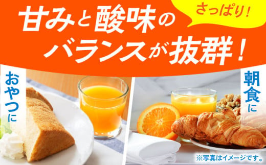 佐賀県江北町のふるさと納税 【佐賀県産温州みかん使用】人気上昇中！さがみかん100　1L×6本【JAさが 杵島支所】果汁100% 濃縮還元 [HAM039]