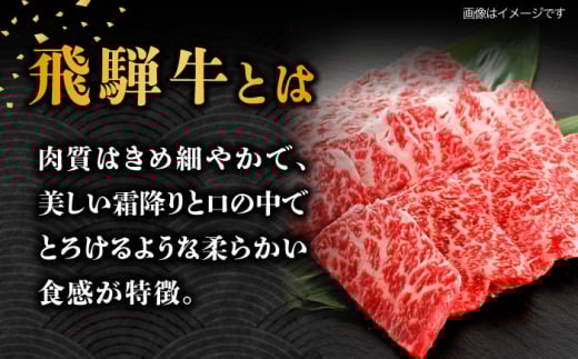 4回 飛騨牛 プレミアム 定期便 2人前 しゃぶしゃぶ すき焼き サイコロステーキ 焼肉 各500g
