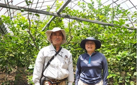 広島県尾道市のふるさと納税 【月間50箱限定】皮まで美味しい無農薬レモン 約1kg