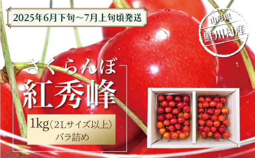 【令和7年産 早期受付】 鮭川村産さくらんぼ ＜紅秀峰＞ 特秀2Lサイズ以上バラ詰め 1kg（500g×2P） 1567705 - 山形県鮭川村