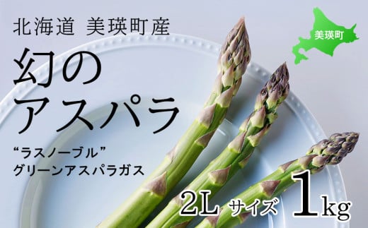 【2025年産！】北海道 美瑛町幻のアスパラ 本山農場のラスノーブル（グリーンアスパラ）2Lサイズ 1kg  | グリーン アスパラガス アスパラ あすぱら あすぱらがす 採れたて 新鮮 旬 産地直送 野菜[014-68] 1477312 - 北海道美瑛町