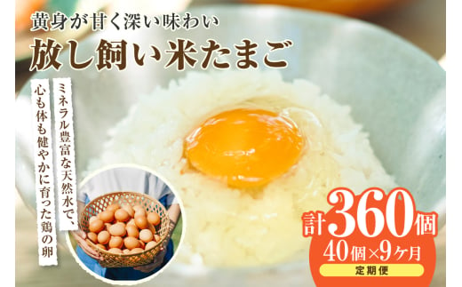 【9か月定期便】放し飼い米たまご35個+5個保証（計40個） 1511579 - 愛知県常滑市