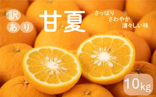 先行予約 訳あり 減農薬 甘夏 10kg 8000円 サイズミックス サイズ混合 不揃い 柑橘 かんきつ 蜜柑 愛媛 みかん 温州 みかん あまなつ 国産 こくさん mikan 果物 くだもの フルーツ デザート ジュース 果実 果肉 果汁 甘い ジューシー おいしい 濃厚 産地 直送 産直 特産品 河内晩柑 愛媛県 愛南町 愛南フルーツ