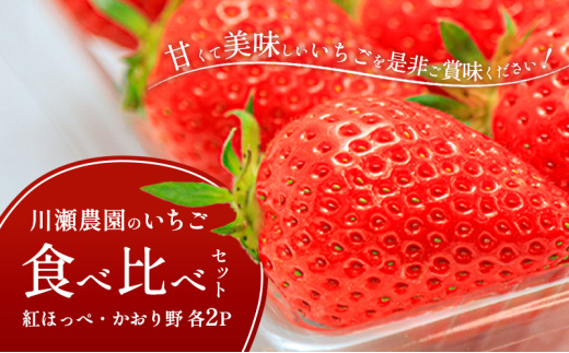 川瀬農園のいちご食べ比べセット　4パック（紅ほっぺ・かおり野　各2P） [№5694-1005]